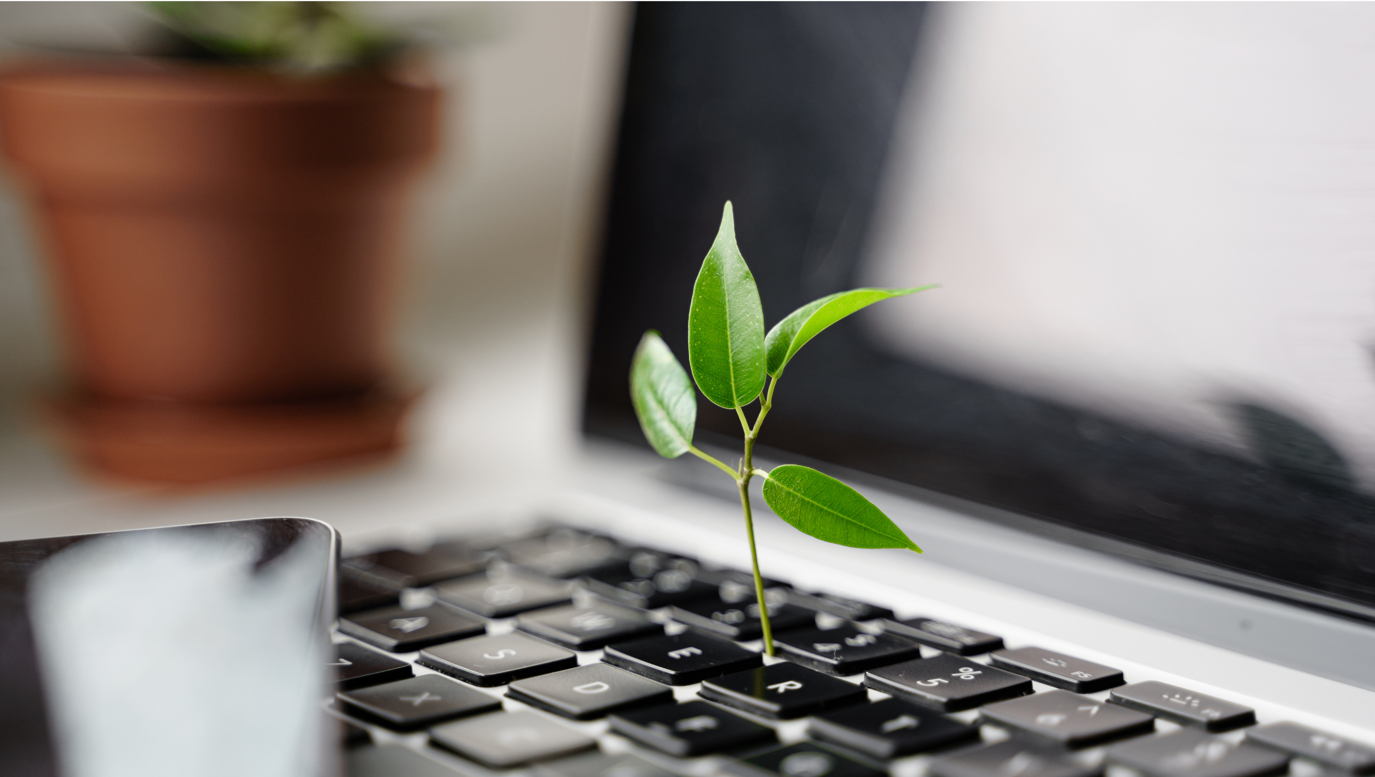 Clavier plante durable